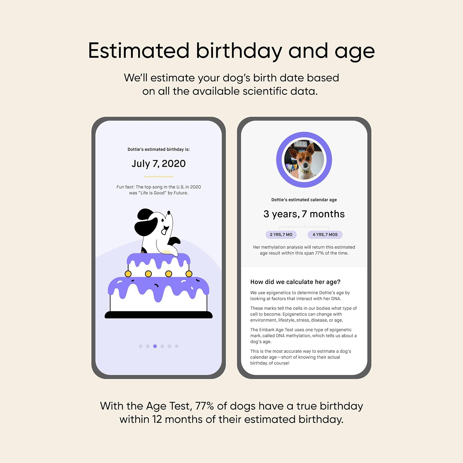 Embark Dog Age Test Kit - Estimates Age and Birthday - DNA Methylation - Best for Dogs Past Puppy Stage - Includes Life Stage Care Tips - Great for Rescue Dogs