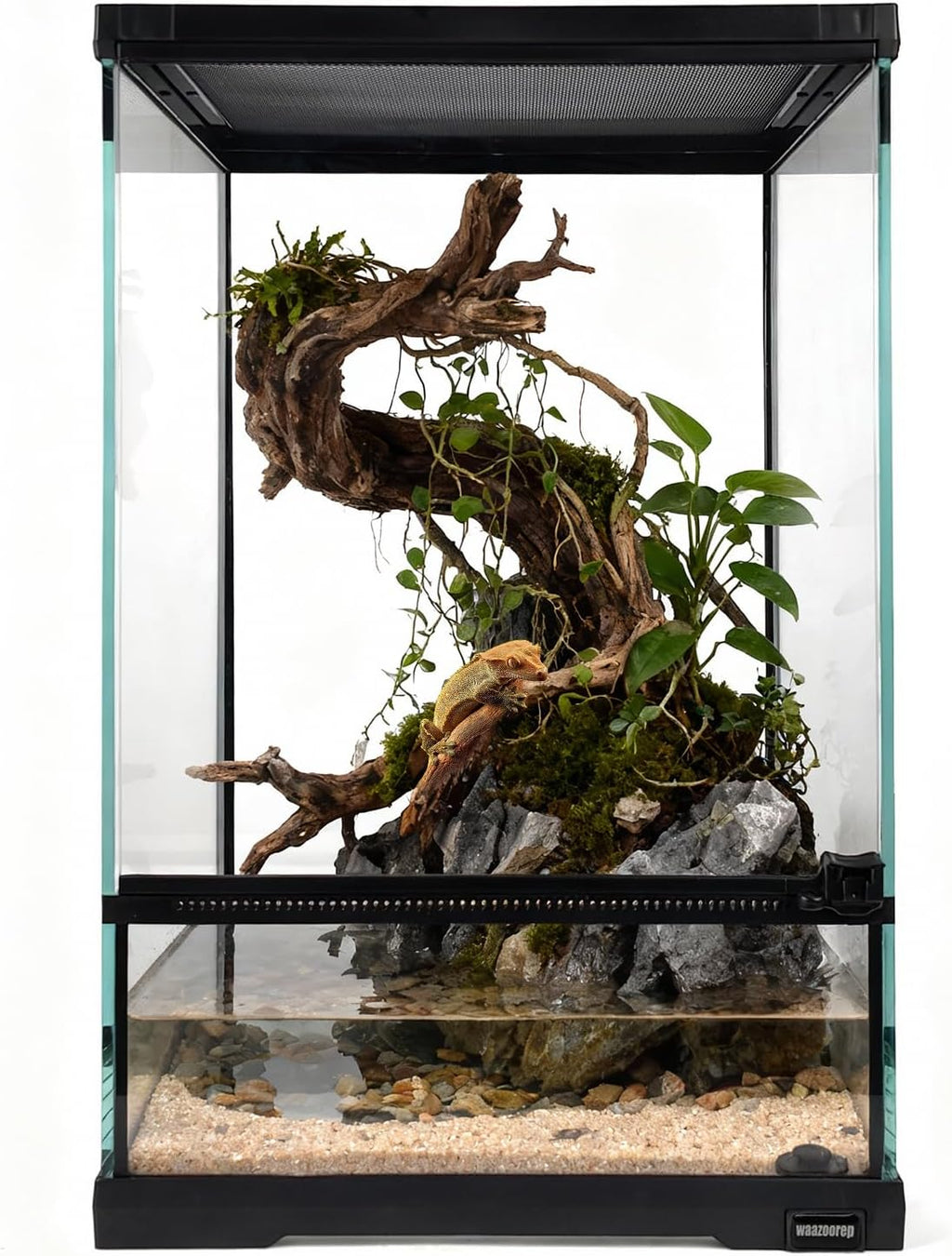 11 Gallon Tall Reptile Glass Tank 12'x12'x18' with Drainage Hole - Pre-Assembled Vertical Reptile Cage Enclosure for Arboreal Geckos,Chameleon,Lizard,Tree Frog and Snake