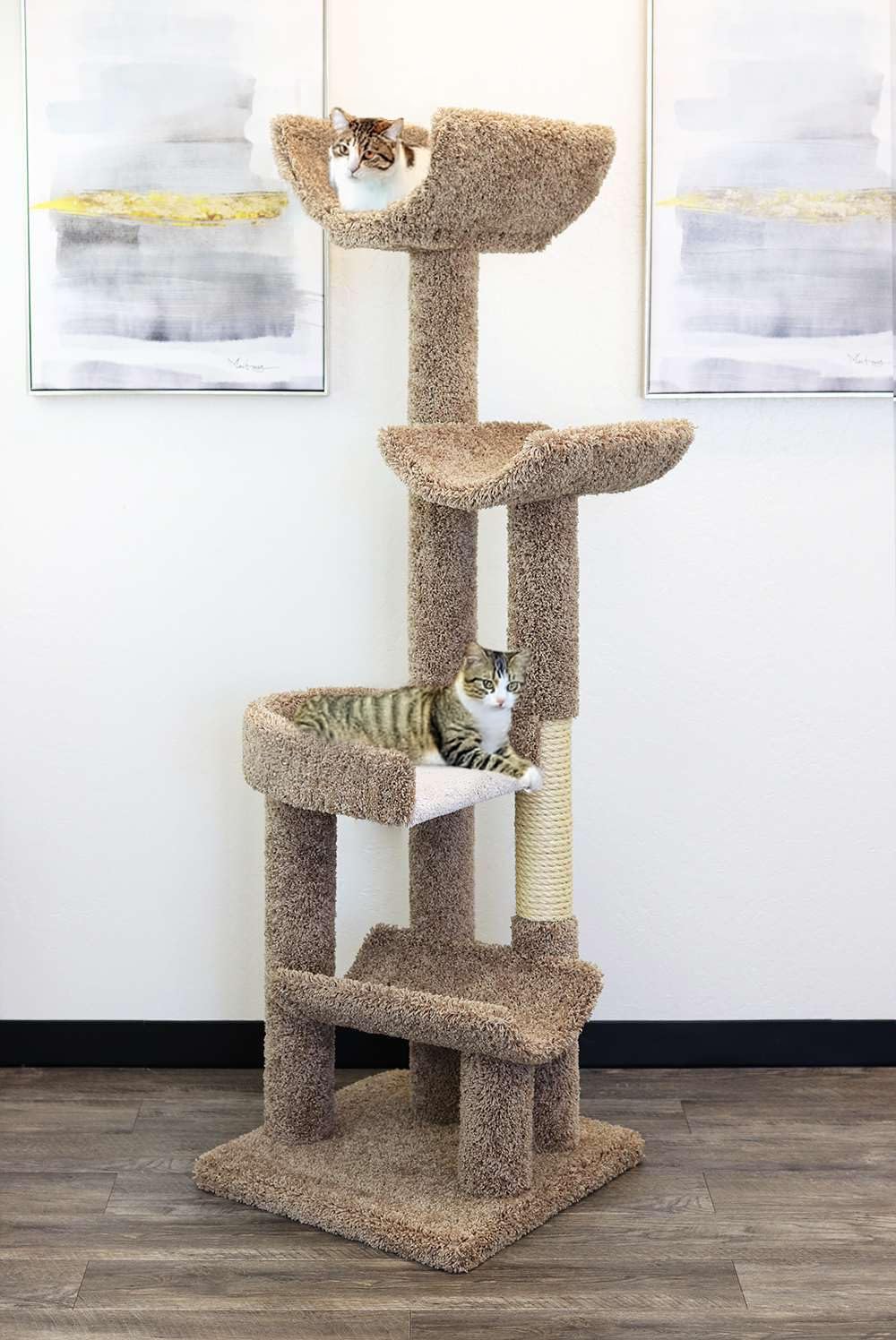 New Cat Condos 190121-Brown Cat Climbing Tree