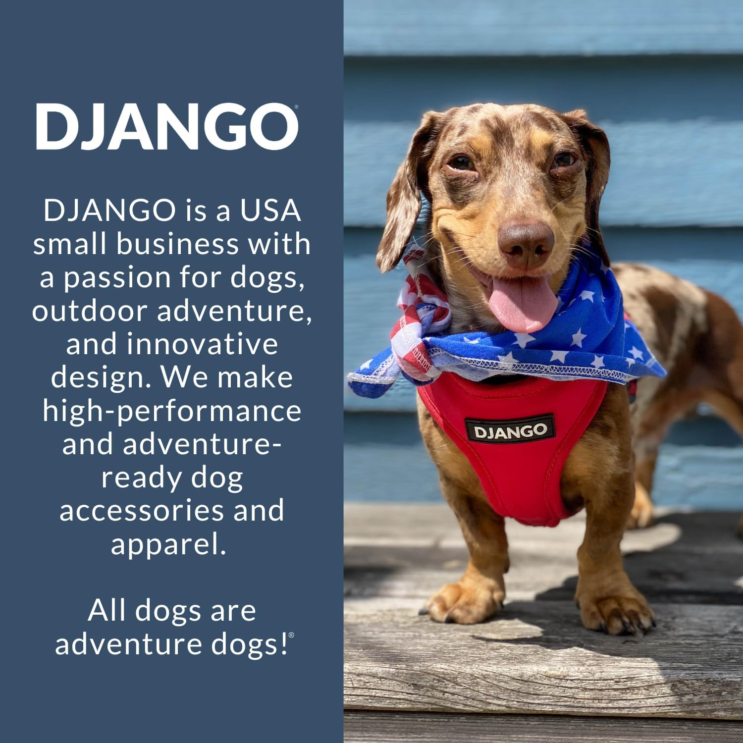 DJANGO Waxed Canvas & Leather Dog Carrier Tote Bag – Premium Soft-Sided Travel Dog Purse with Safety Leash, WR Lining, & Large Zipper Pockets – Everyday Pet Carrier for Small Dogs (Navy Blue, Medium)