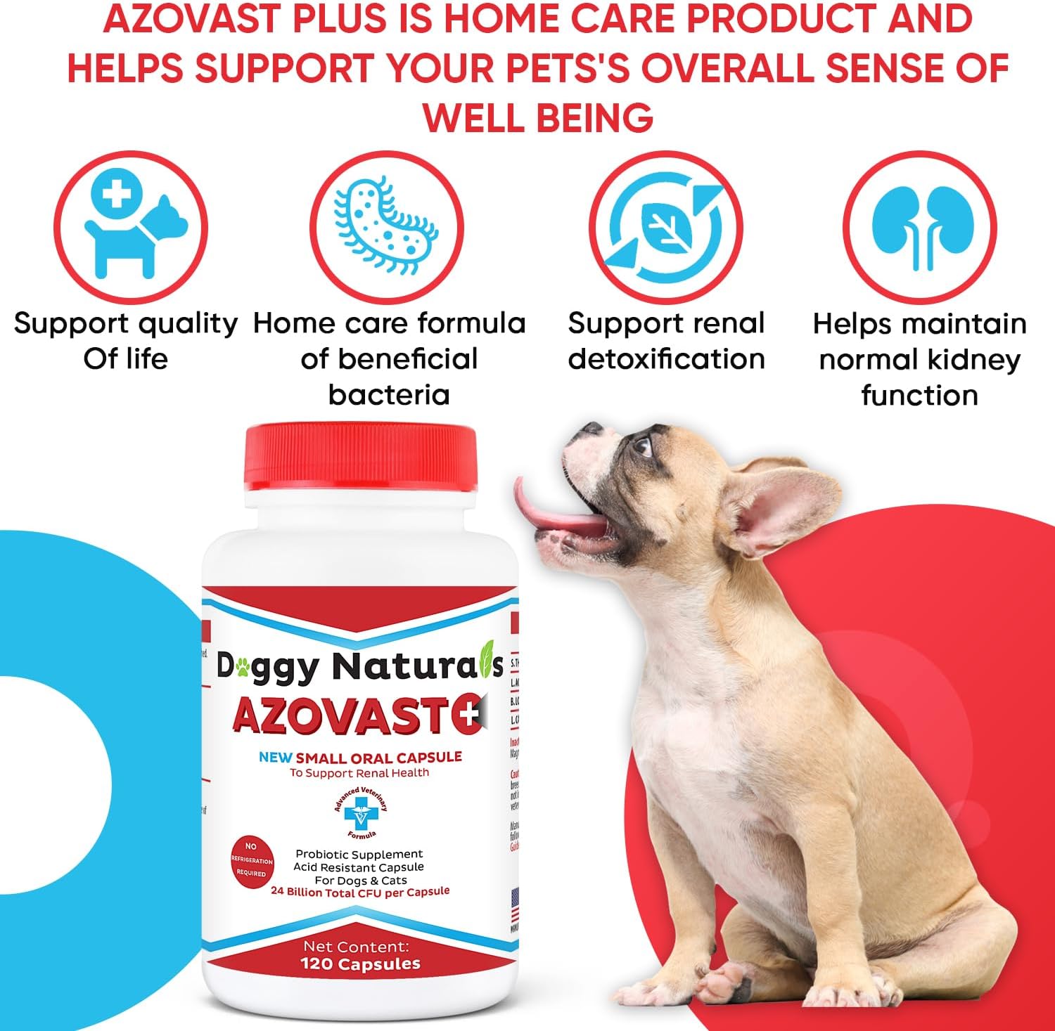 Azovast Plus Kidney Health Supplement for Dogs & Cats -24 Billion CFU- NO Refrigeration Required - Help Support Kidney Function & Manage Renal Toxins - Renal Care Supplement Capsule(U.S.A) (240 Caps)