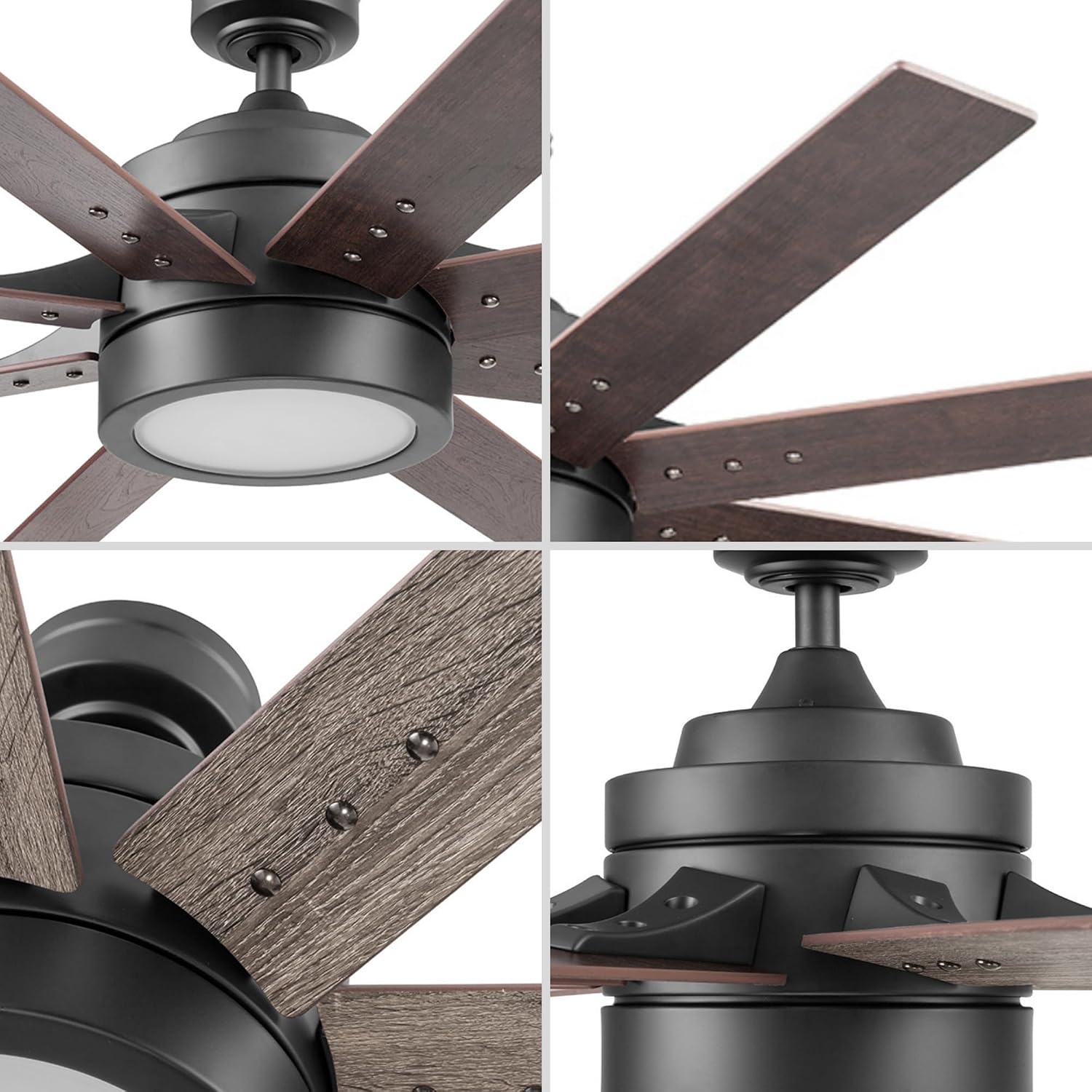 Honeywell Ceiling Fans Xerxes Modern 62 Inch Ceiling Fan with Light, Remote Control Fan, LED Indoor Fan with 8 Blades, Dark Elm and Rough Pine Blade Finish Options, Bronze (50609-01)