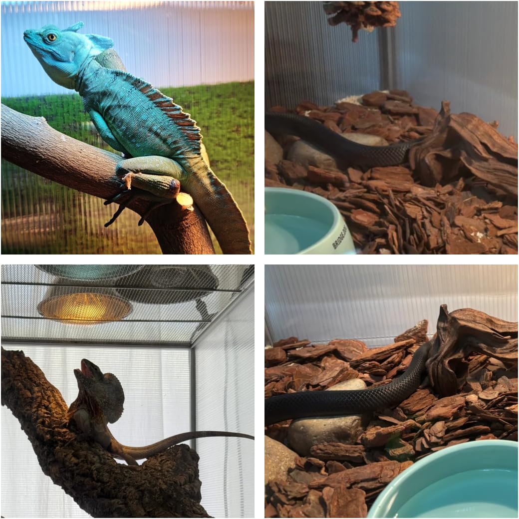 50 Gallon Bearded Dragon Tank, 36'x18'x18' (3x1.5x1.5 ft) Reptile Terrarium, Medium Reptile Enclosure with Aluminum Frame, Mesh Top, Lock Doors