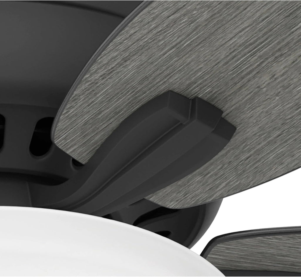 Hunter 52-Inch Ceiling Fan with Lights and Pull Chain - Matte Black, Reversible Blades, Indoor for Kitchen, Bedroom, Living Room (Renewed)