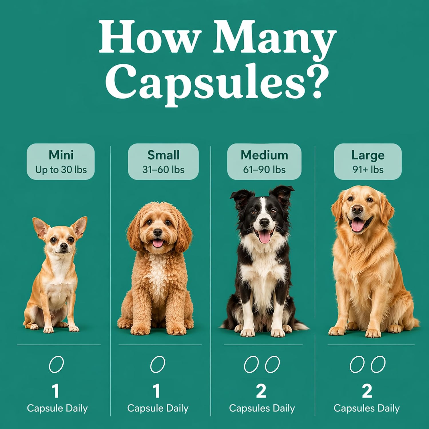 GLX3 Green Lipped Mussel Oil for Dogs | Joint & Hip Comfort Omega-3 Supplement | Ideal for All Dog Breeds and Ages | 3 Month Supply, 180 Gel Capsules w/Natural Ingredients