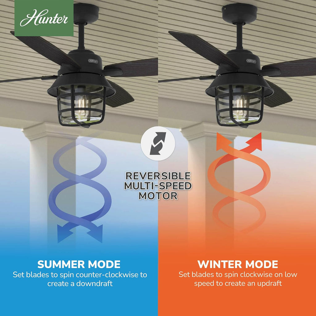 Hunter 52 inch Outdoor or Indoor Ceiling Fan with LED Light and Remote Control - Black Ceiling Fan, Standard Mount, 4 Blades, For Patio, Porch, or Living Room - Port Royale 50391, Natural Black Iron