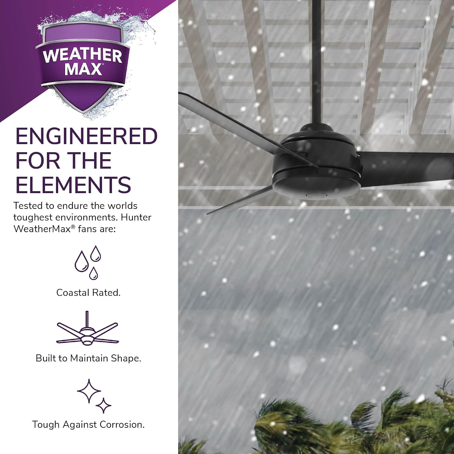 Hunter 52 inch Outdoor or Indoor Ceiling Fan No Light - Black Ceiling Fan without Light, For Patio, Porch, Garage, or Living Room, Standard Mount, 3 Blades, Wall Control - Trimaran 59609, Matte Black