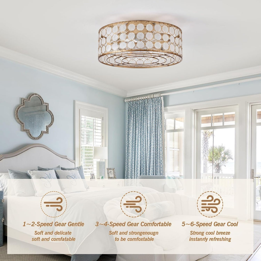 DDLLDESHI Capiz Fandelier Ceiling Fan with Light,20' Boho Caged Ceiling Fan with Light, Bldeless Enclosed Fan Lights Ceiling Fixtures for Bedroom Living Room Kitchen(Coastal Shell Style,White Oyster)