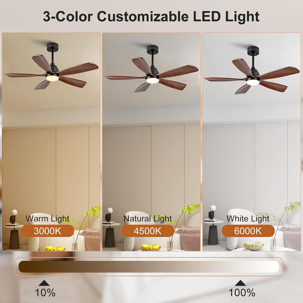 48 Inch Ceiling Fans with Lights and Remote, 5 Blades, Wood Ceiling Fan with Light, Dimmable, Wall Switch, Reversible DC Motor, Modern Indoor Outdoor Ceiling Fan for Patio Office Dining Room