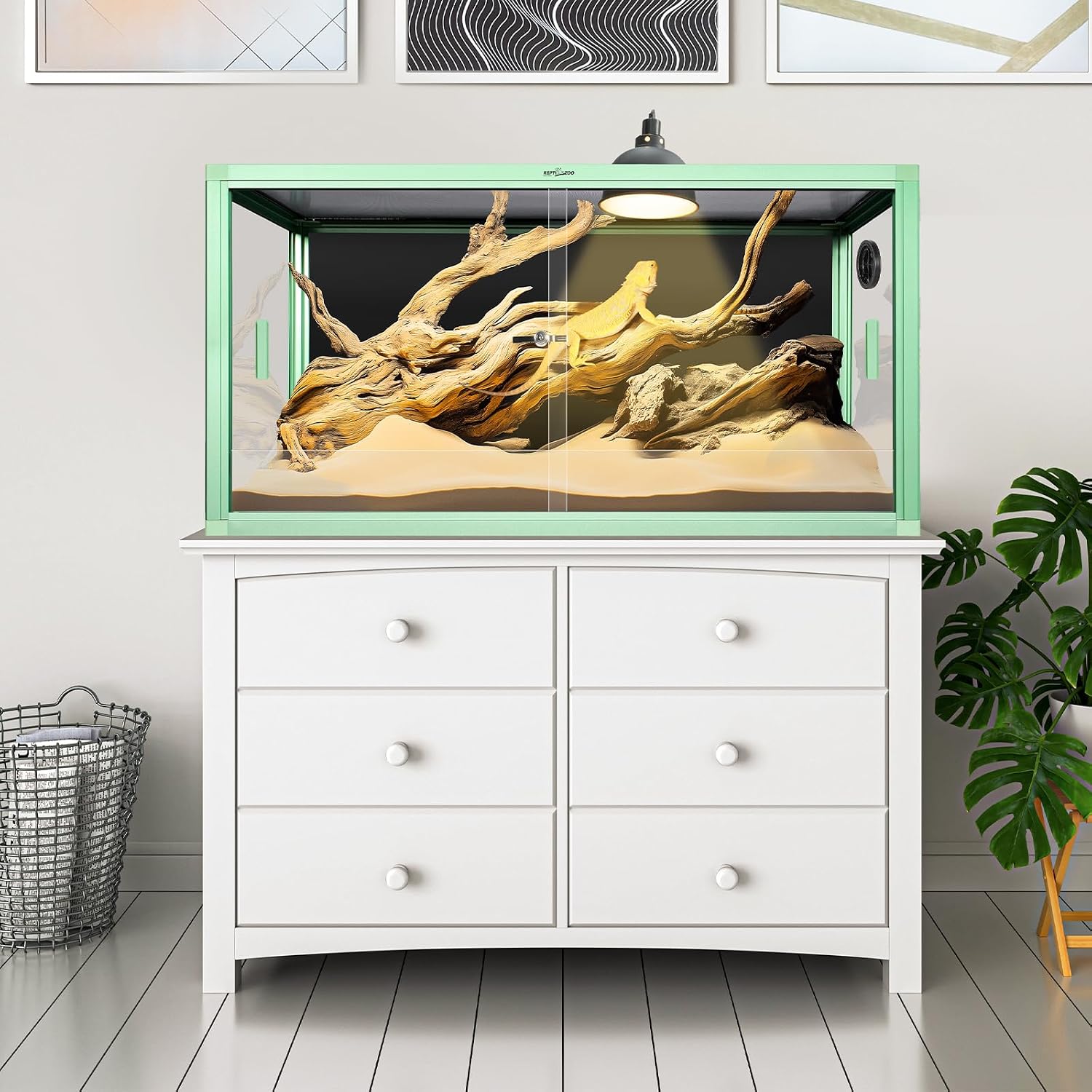 REPTI ZOO 50 Gallon Reptile Terrarium, 36' x 18' x 18' Light Weight Reptile Enclosure, Colored Reptiles Tank with Tempered Glass Door, Large Habitat for Bearded Dragon, Snake, Lizard, Gecko-Green