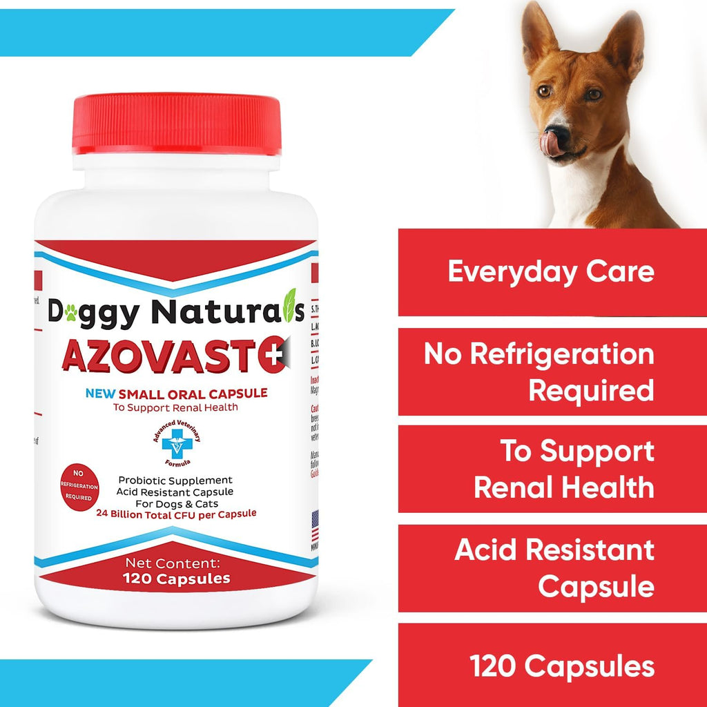 Azovast Plus Kidney Health Supplement for Dogs & Cats -24 Billion CFU- NO Refrigeration Required - Help Support Kidney Function & Manage Renal Toxins - Renal Care Supplement Capsule(U.S.A) (240 Caps)