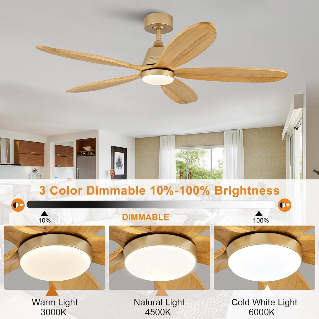 48 Inch Ceiling Fans with Lights and Remote, Modern Indoor Outdoor Ceiling Fan with Light for Patio Bedroom, Dimmable, 5 Wood Blades, Wall Switch, Reversible DC Motor, Memory Function (Gold)