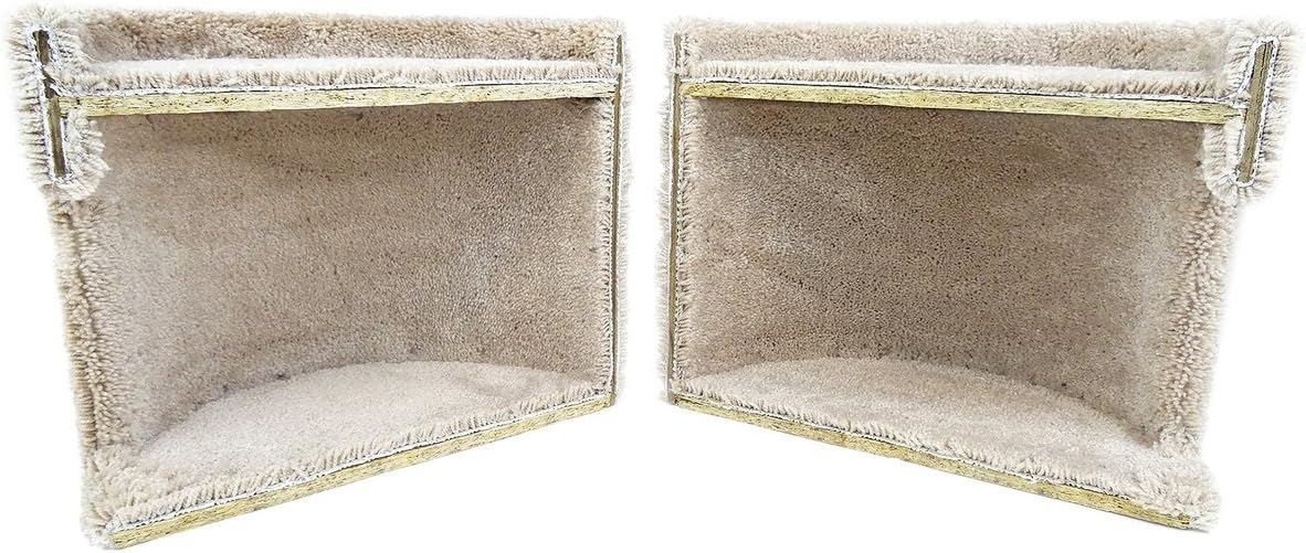 New Cat Condos 190121-Brown Cat Climbing Tree