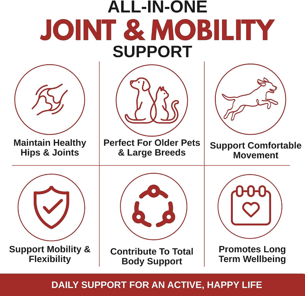 Wholistic Pet Organics - Hip and Joint Supplement for Dogs & Cats - Cat and Dog Joint Supplement - Green Lipped Mussels, Chondroitin, Glucosamine for Dogs & Cat Mobility Support - 4 Lb - 181 Scoops