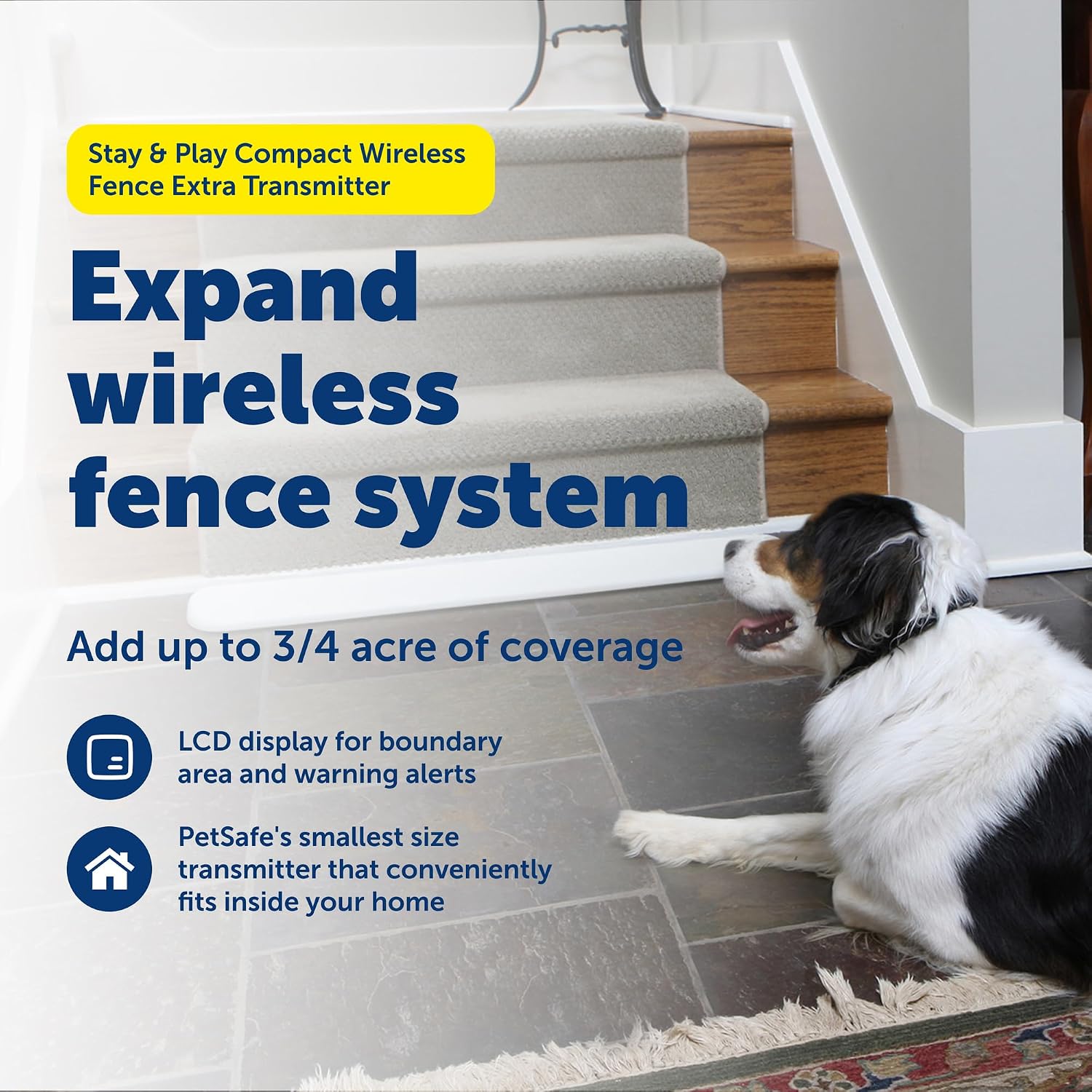PetSafe Stay & Play Extra Wireless Fence Transmitter - Increase Your Existing Wireless Fence Boundary - from The Parent Company of Invisible Fence Brand