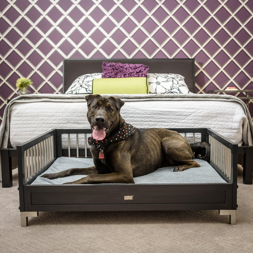 New Age Pet ecoFLEX Manhattan Raised Dog Bed w/Removable Cushion, X-Large, Espresso