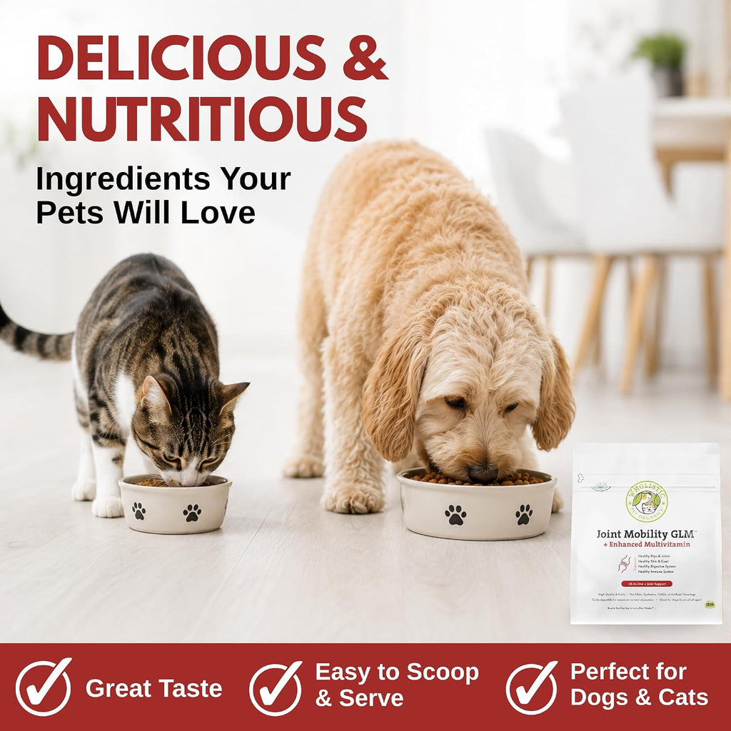 Wholistic Pet Organics - Hip and Joint Supplement for Dogs & Cats - Cat and Dog Joint Supplement - Green Lipped Mussels, Chondroitin, Glucosamine for Dogs & Cat Mobility Support - 4 Lb - 181 Scoops