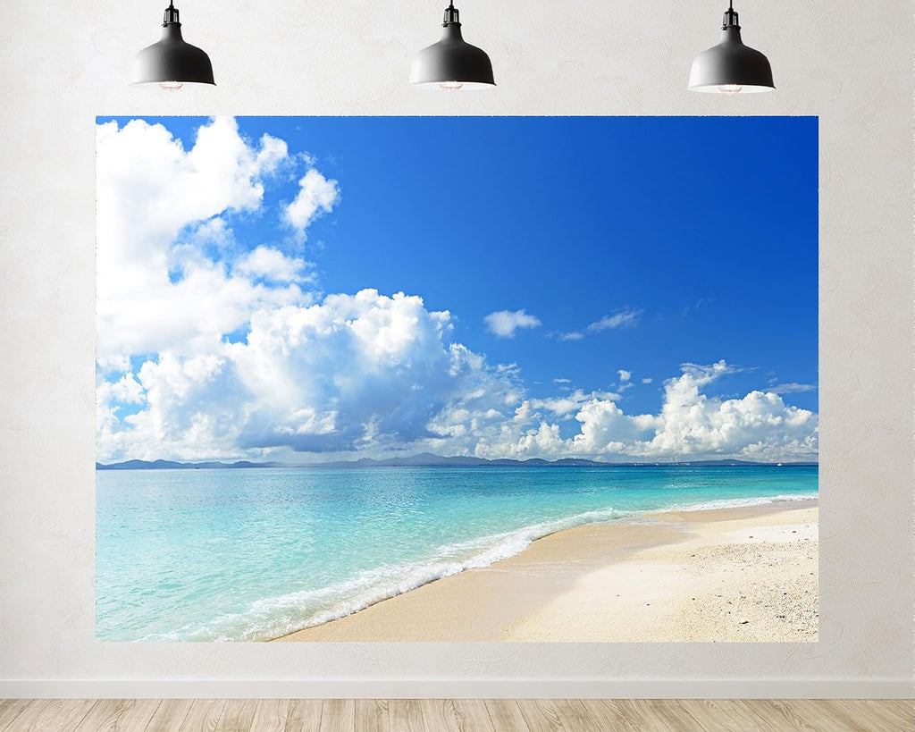 Trykid 20x10ft Turquoise Ocean Beach Backdrop Clear Sky White Clouds Sandy Shore Photography Background Vacation Tapestry Party Decoration Photo Studio Prop Fabric