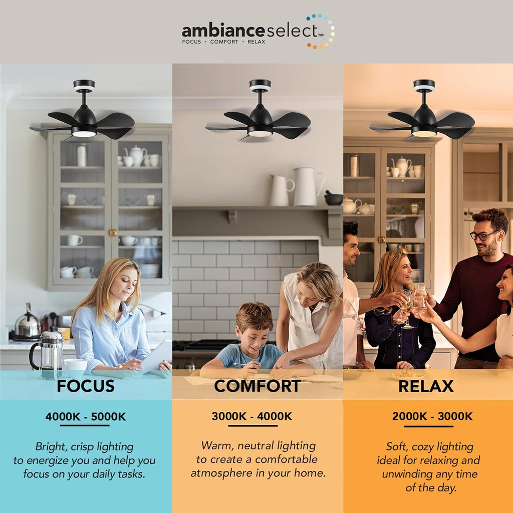 Globe Electric 37000106 30' Ceiling Fan with LED Light, Nightlight, Remote Control, WhisperQuiet DC Motor, 6 Speeds, Matte Black