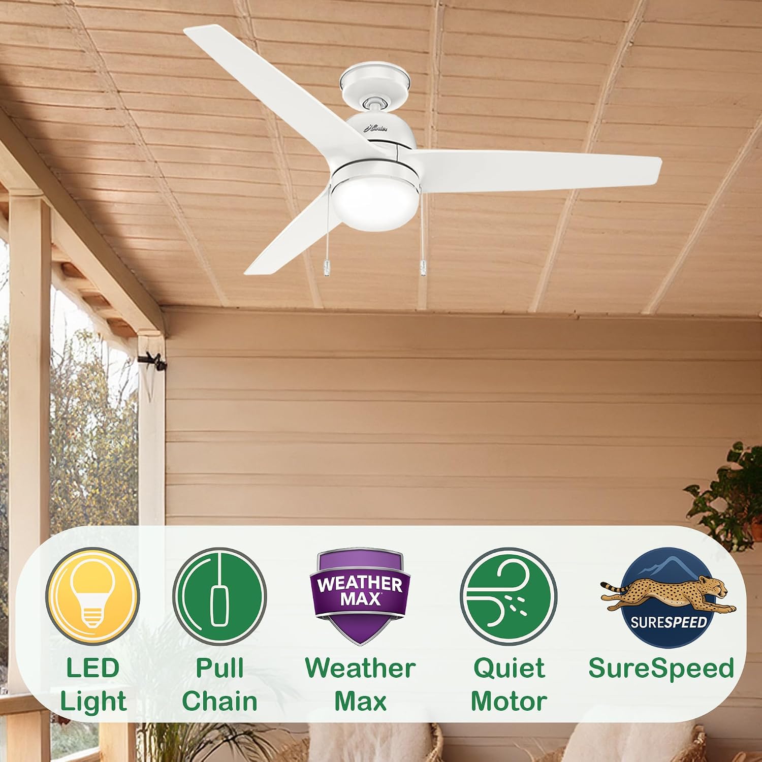 Hunter Fan 52 inch Ceiling Fan with Lights and Pull Chain, Outdoor or Indoor White Ceiling Fan for Porch, Living Room, Office, Kitchen, Garage (Renewed)