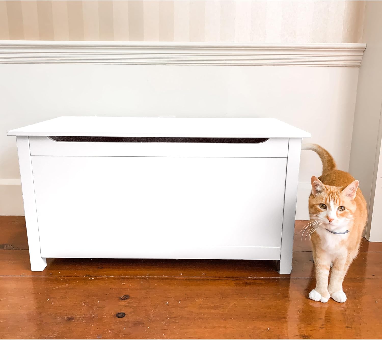 Parker Designer Catbox Cat Litter Box Enclosure, Hidden, Dog-Proof Pet Furniture with Cover, Elegant, Covered, Odor Contained for Large Cats,Furniture with Lid, Cat Litter Boxes, White