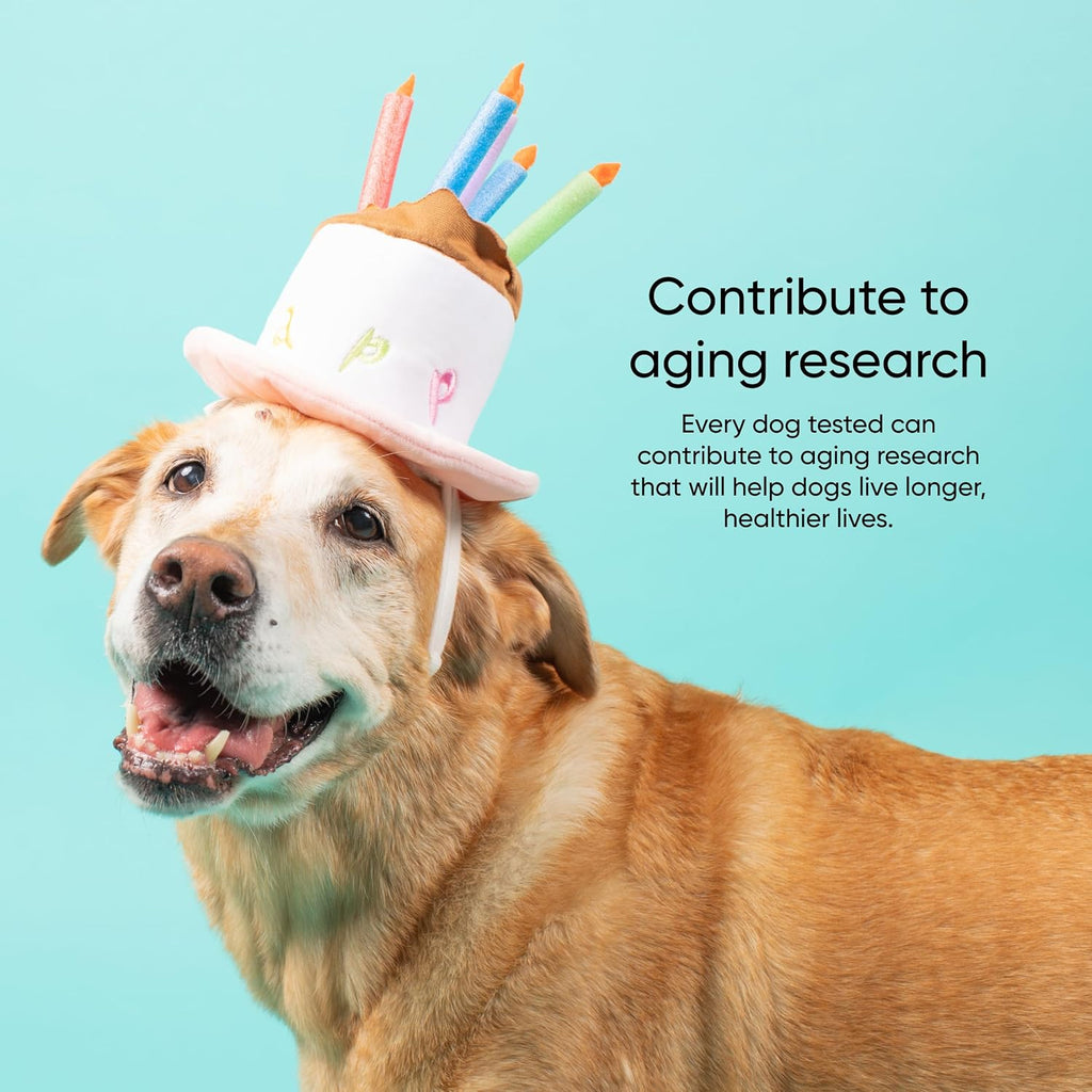 Embark Dog Age Test Kit - Estimates Age and Birthday - DNA Methylation - Best for Dogs Past Puppy Stage - Includes Life Stage Care Tips - Great for Rescue Dogs