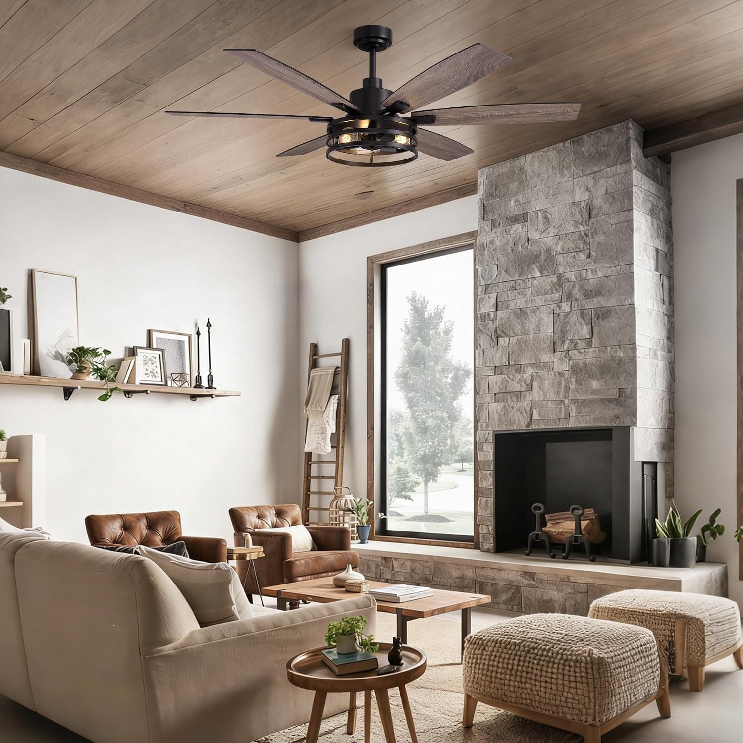 Farmhouse 60 Inch Ceiling Fan with Remote and App Control, Quiet 6-Speed Reversible DC Motor, Black Cage Design for Bedroom, Living Room, Covered Patio