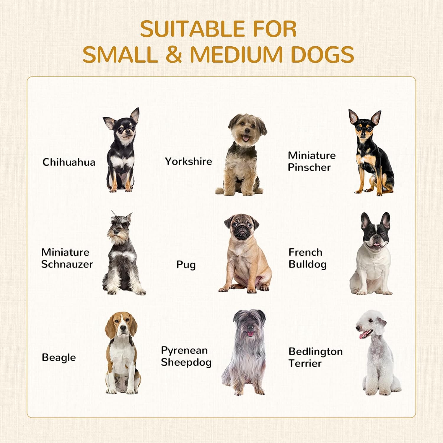 PawHut Dog Crate Furniture with Soft Water-Resistant Cushion, Dog Kennel End Table with Drawer, Puppy Crate for Small Dogs Indoor with 2 Doors, Gray