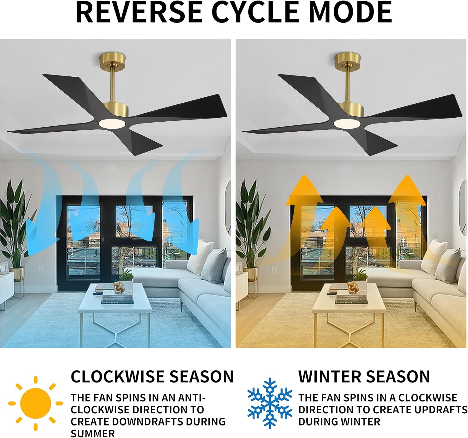 WINGBO 64' Wet Rated Outdoor Ceiling Fan with Lights, 4 ABS Plastic Blades, Reversible DC Motor, 6-Speed Remote Control, 3 CCT, Waterproof Ceiling Fan for Patio Porch Gazebo Garage, Brass and Black