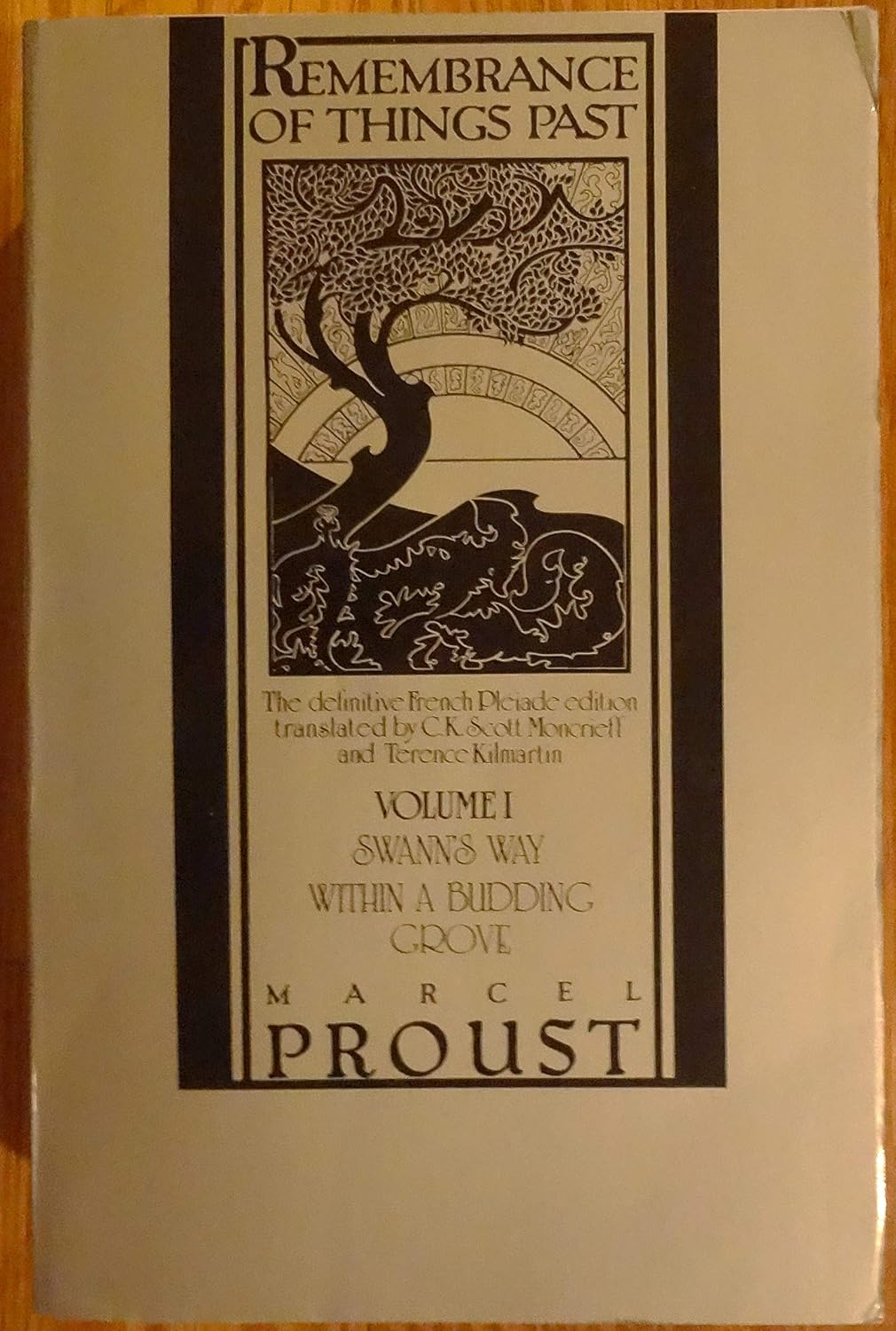 Remembrance of Things Past: 3 Volume Set