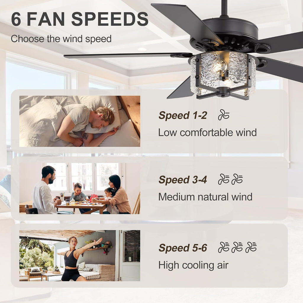52 Inch Modern Farmhouse Ceiling Fan with Light Kit & Remote, Ultra Quiet DC Motor, Reversible 5-Blade Design, Antique Light Fixture, Dual Downrod for Low/High Ceilings - Vintage Black