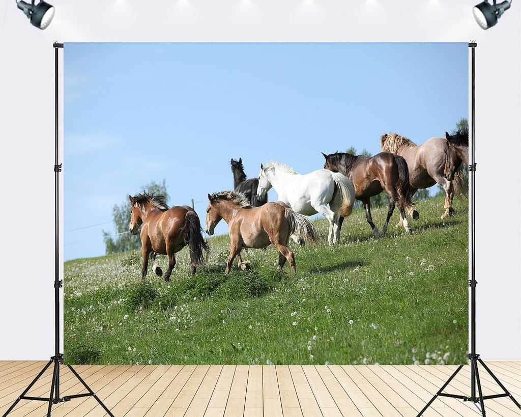 Trykid 20x10ft Wild Horses Green Hill Backdrop Galloping Herd Clear Blue Sky Lush Pasture Equestrian Scene Photography Background Tapestry Party Decoration Photo Studio Prop Fabric