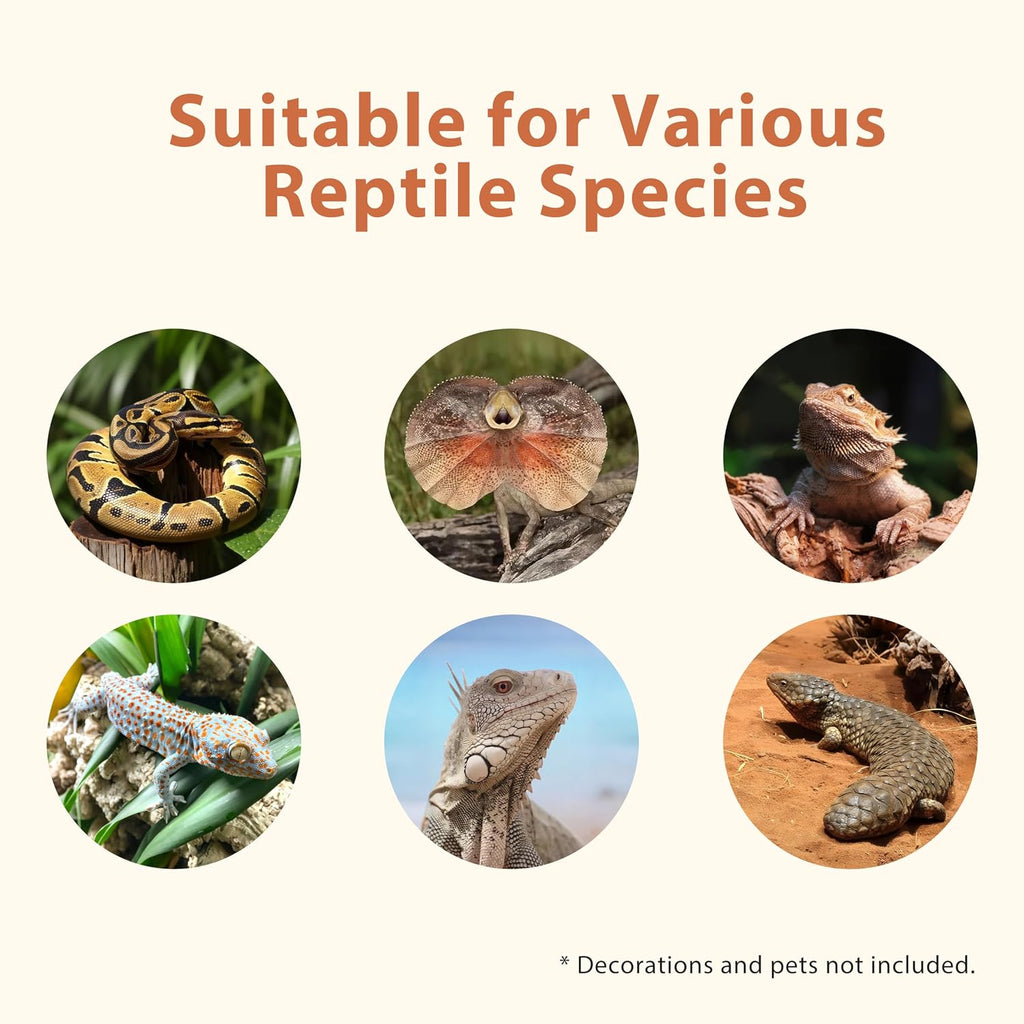 4x2x2 (120 Gallon) PVC Reptile Enclosure, RepWild Terrarium/Tank with Heavy-Duty Screen Top, Glass Sliding Doors & Lock for Bearded Dragons, Ball Python, Geckos, Lizards