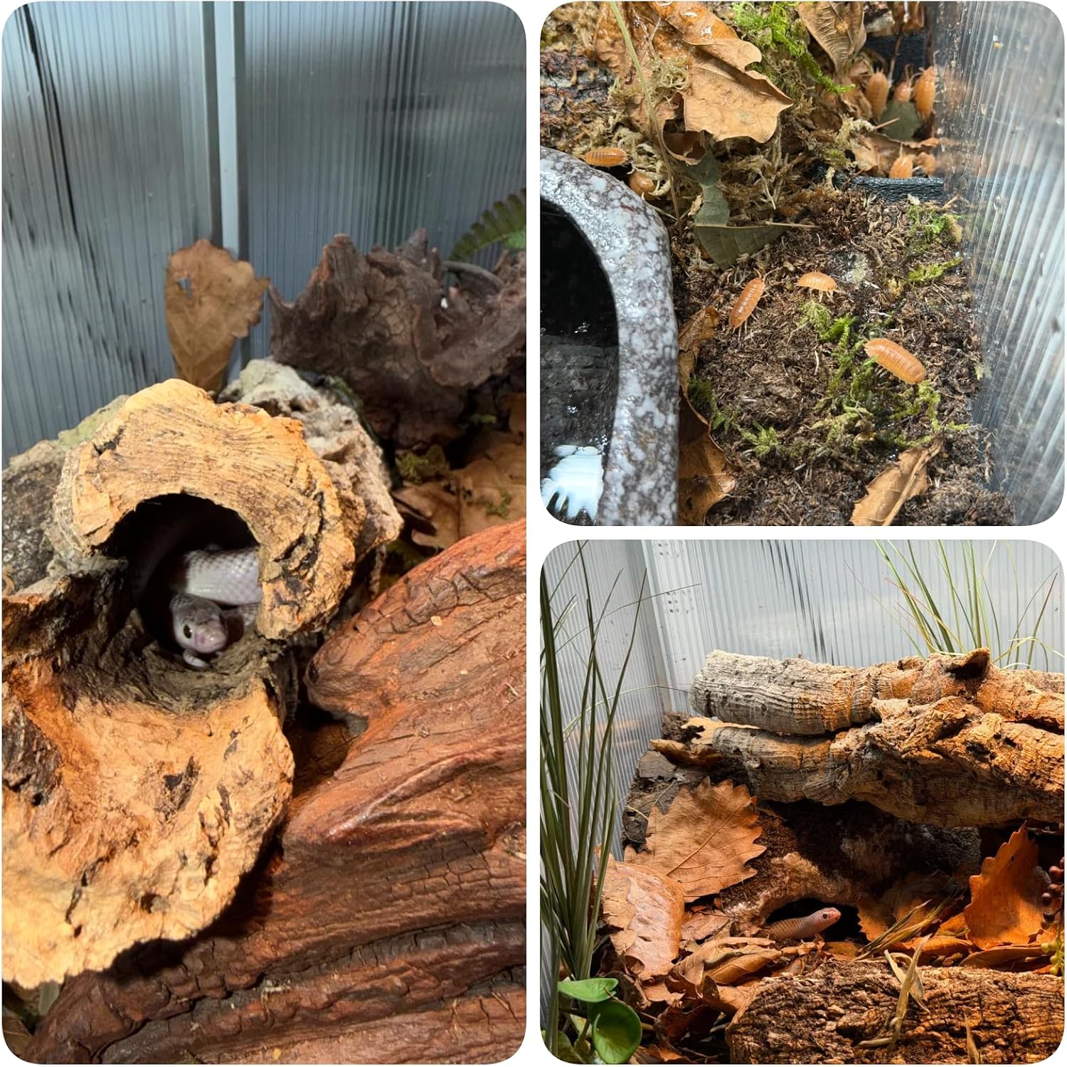 120 Gallon Bearded Dragon Tank, 48 x 24 x 24 Reptile Enclosure with Lockable Sliding Glass Doors and Top Screen Ventilation for Easy Maintenance