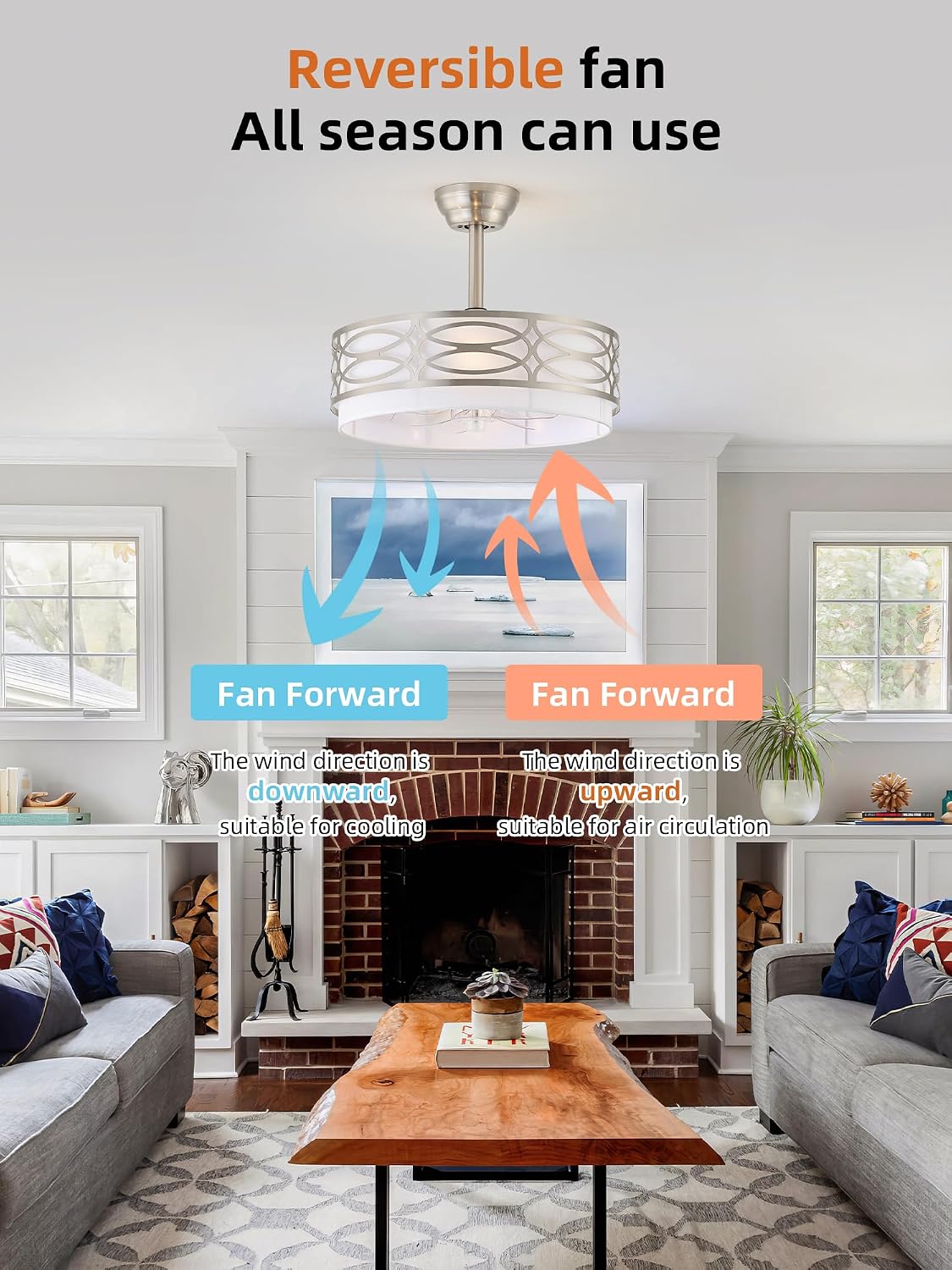 20' Silver Boho Ceiling Fan with Light, Caged Fandelier Ceiling Fans with Lights Remote Control with 6 Speeds for Bedroom, Living Room, Nursery