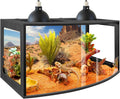 PROLEE Bearded Dragon Tank, Curved Reptile Enclosure with 3-Side Clear Acrylic Panels, Spacious Lizard Tank with Metal Mesh Top and Lockable Door for Reptile Habitat (Black, 24' Length,24 Gallons)