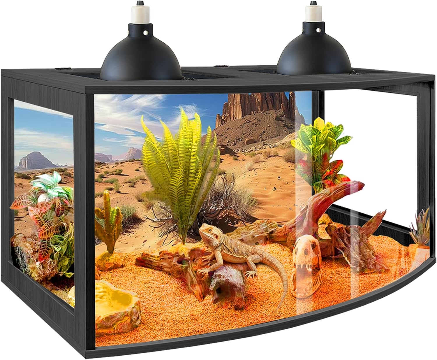 PROLEE Bearded Dragon Tank, Curved Reptile Enclosure with 3-Side Clear Acrylic Panels, Spacious Lizard Tank with Metal Mesh Top and Lockable Door for Reptile Habitat (Black, 24' Length,24 Gallons)