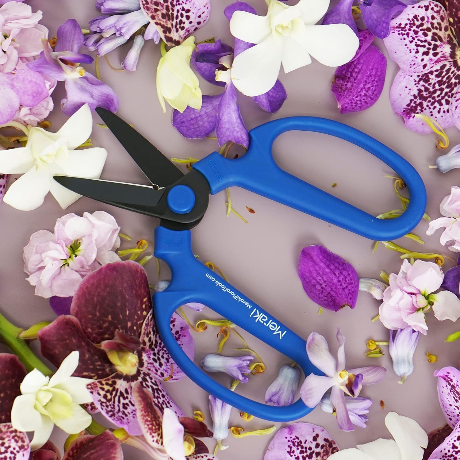 Flower Scissors Set Of 3 Carbon Steel Blades, 3 Sizes In Cool Analogous Colors