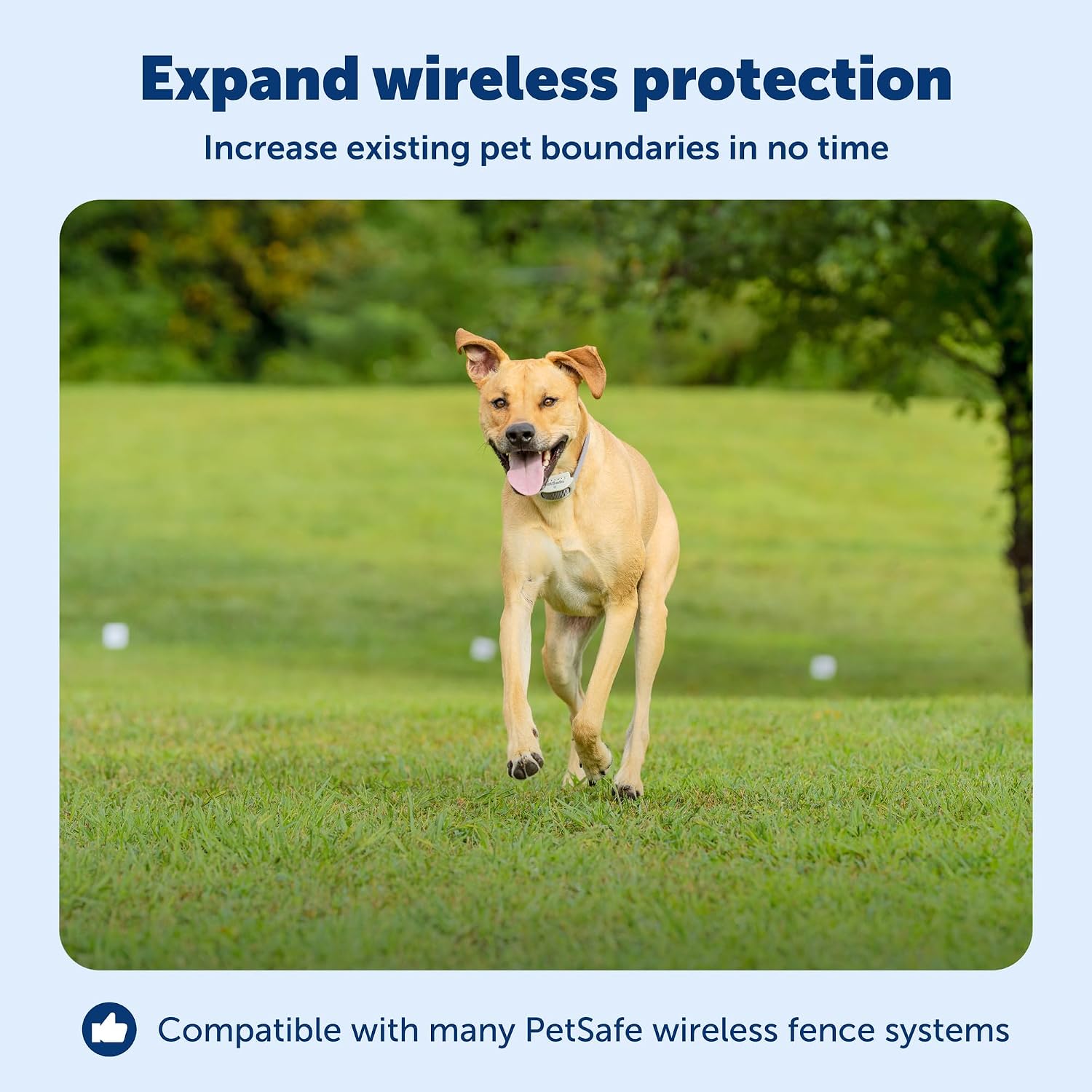PetSafe Stay & Play Extra Wireless Fence Transmitter - Increase Your Existing Wireless Fence Boundary - from The Parent Company of Invisible Fence Brand