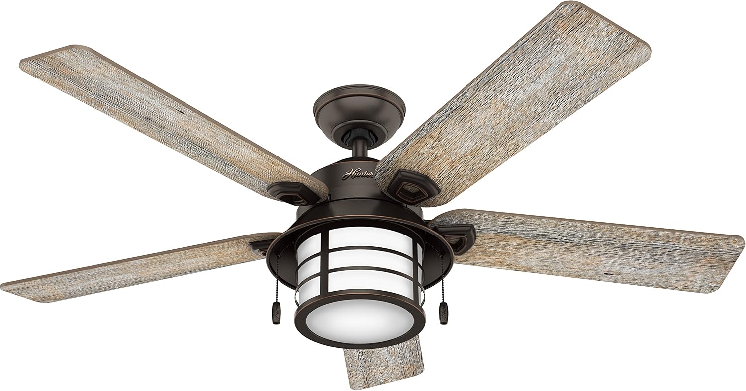 Hunter Fan 54 in. Outdoor Ceiling Fan with Light in Onyx Bengal (Renewed)