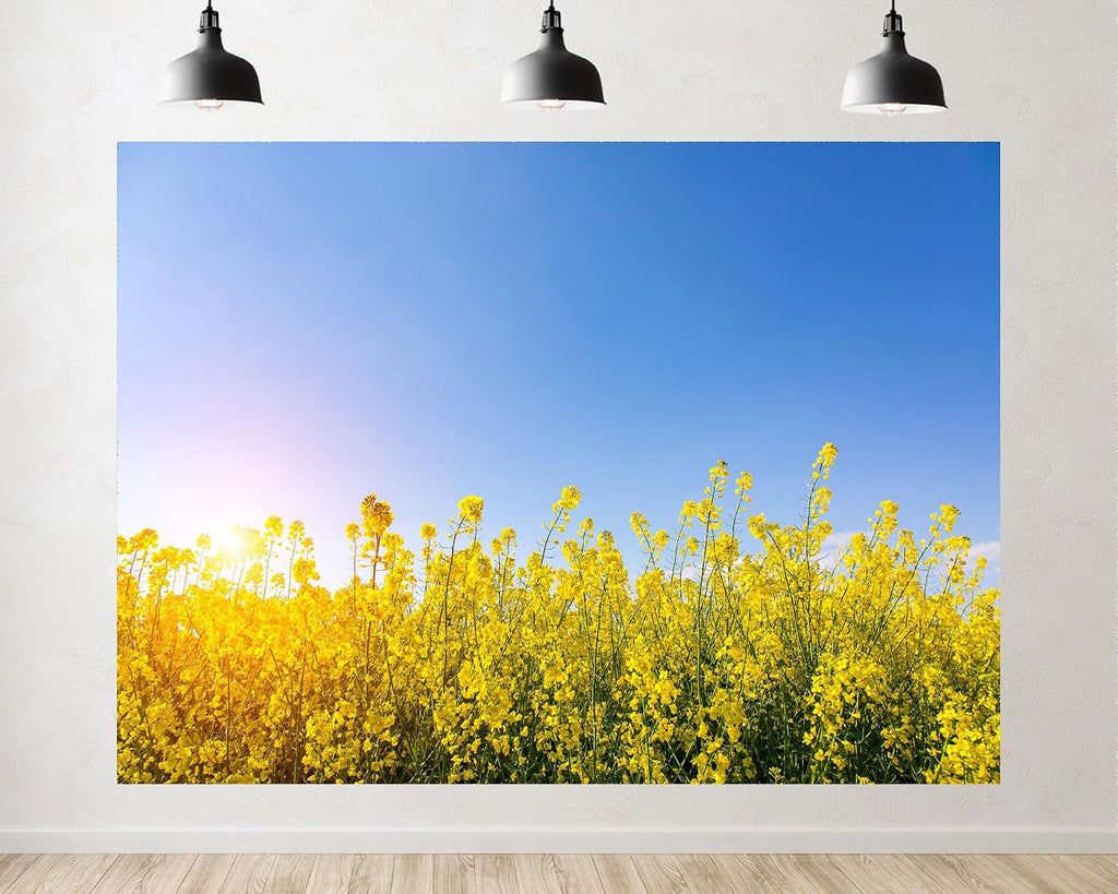 Trykid 20x10ft Golden Sunlight Yellow Flowers Backdrop Clear Sky Bright Floral Field Photography Background Nature Theme Tapestry Party Decoration Photo Studio Prop Fabric