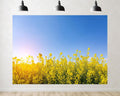 Trykid 20x10ft Golden Sunlight Yellow Flowers Backdrop Clear Sky Bright Floral Field Photography Background Nature Theme Tapestry Party Decoration Photo Studio Prop Fabric