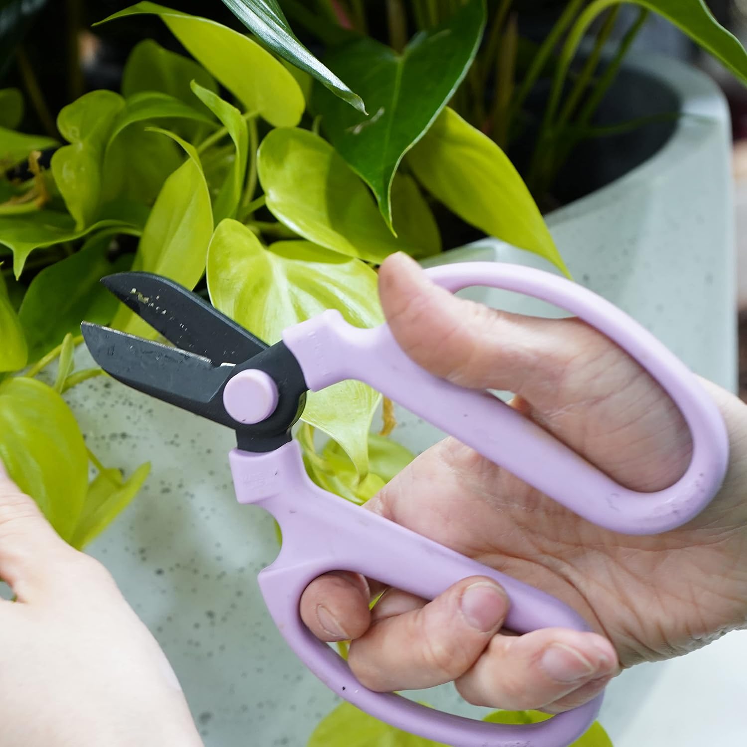 Flower Scissors Set Of 3 Carbon Steel Blades, 3 Sizes In Cool Analogous Colors