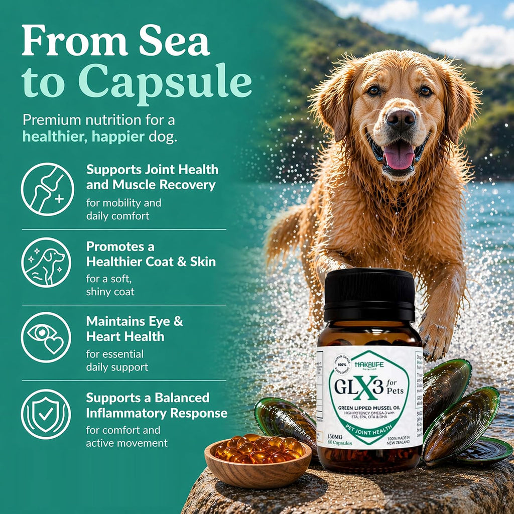 GLX3 Green Lipped Mussel Oil for Dogs | Joint & Hip Comfort Omega-3 Supplement | Ideal for All Dog Breeds and Ages | 3 Month Supply, 180 Gel Capsules w/Natural Ingredients