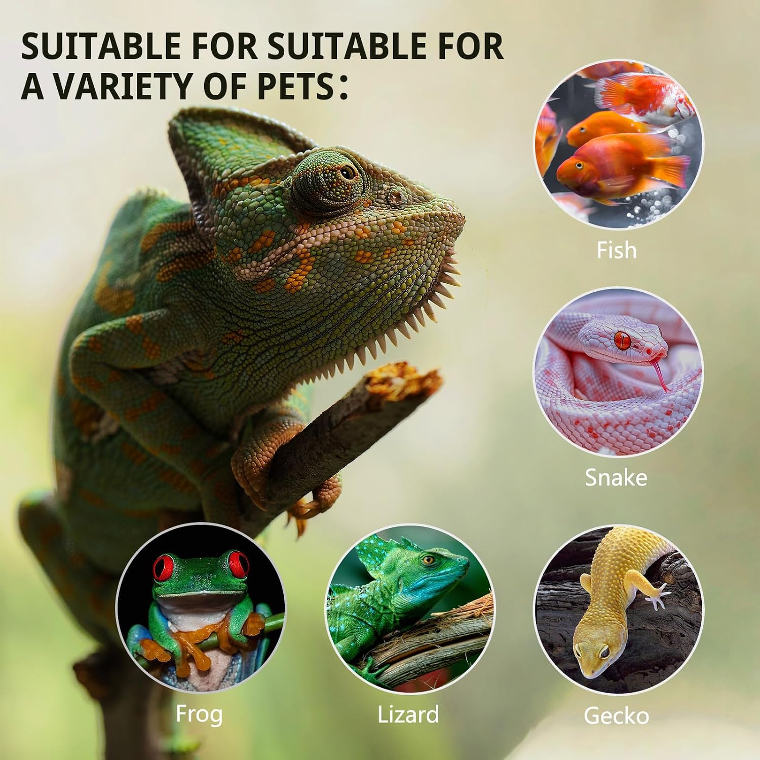 11 Gallon Tall Reptile Glass Tank 12'x12'x18' with Drainage Hole - Pre-Assembled Vertical Reptile Cage Enclosure for Arboreal Geckos,Chameleon,Lizard,Tree Frog and Snake