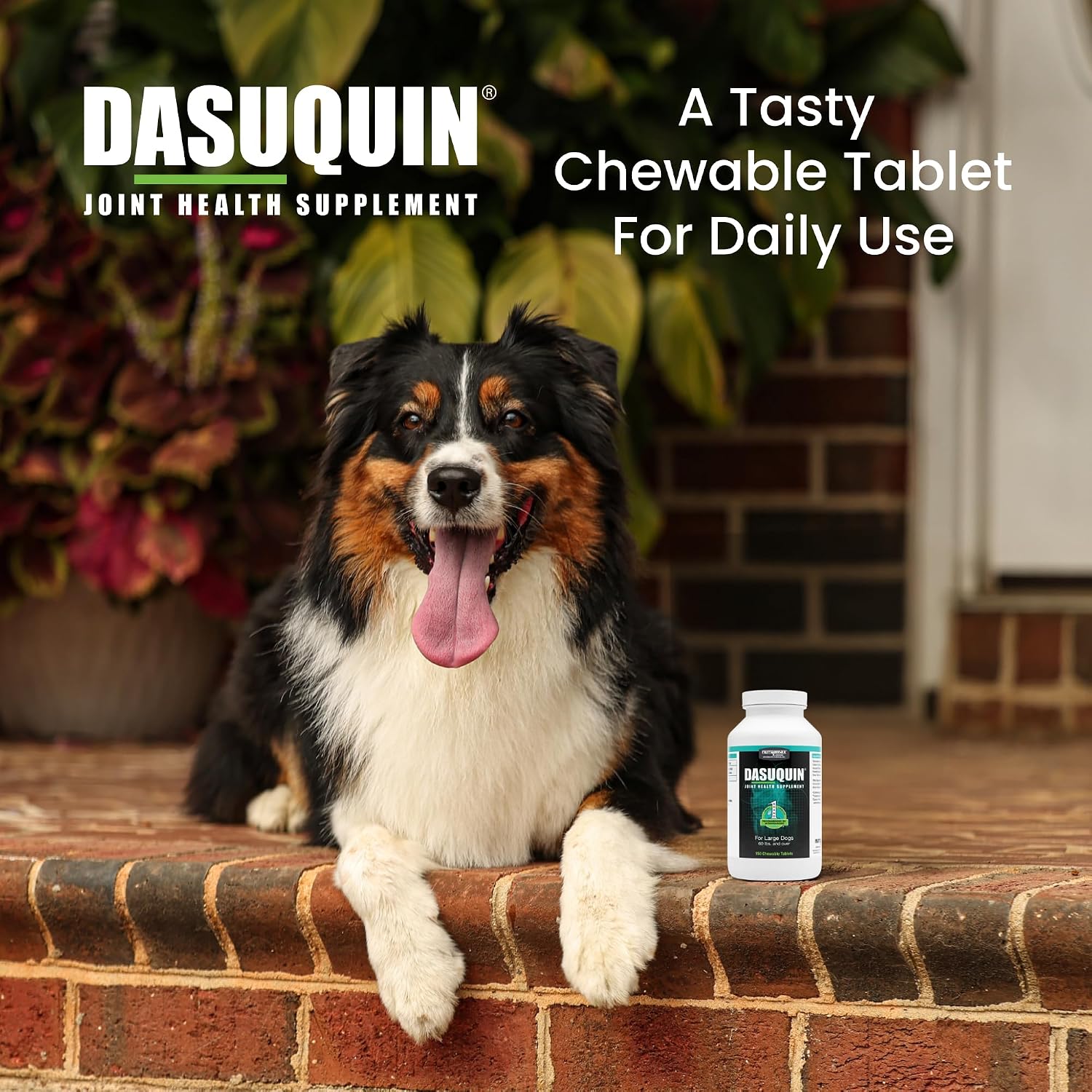 Nutramax Dasuquin for Large Dogs, Joint Health Supplement, Contains Glucosamine for Dogs, Plus Chondroitin, ASU and More, Supports Healthy Joints, Chewable Tablets, 150 Count (Pack of 2)