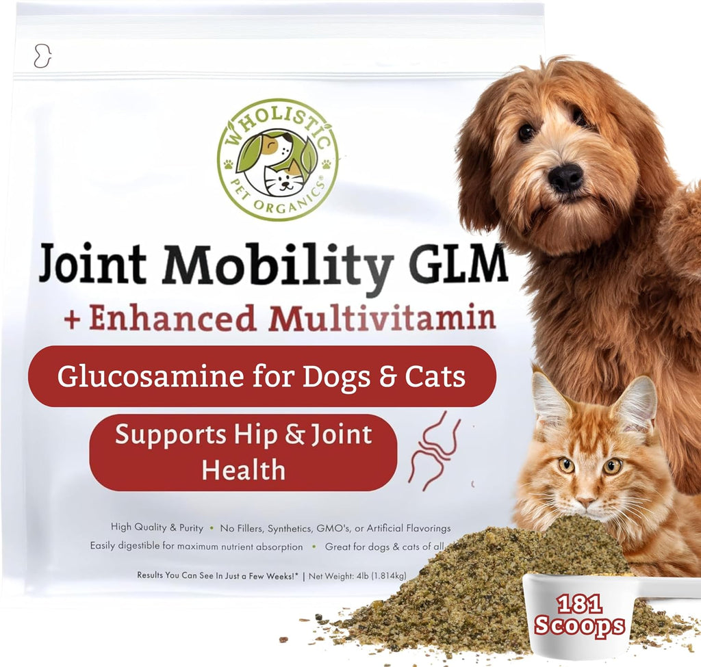 Wholistic Pet Organics - Hip and Joint Supplement for Dogs & Cats - Cat and Dog Joint Supplement - Green Lipped Mussels, Chondroitin, Glucosamine for Dogs & Cat Mobility Support - 4 Lb - 181 Scoops