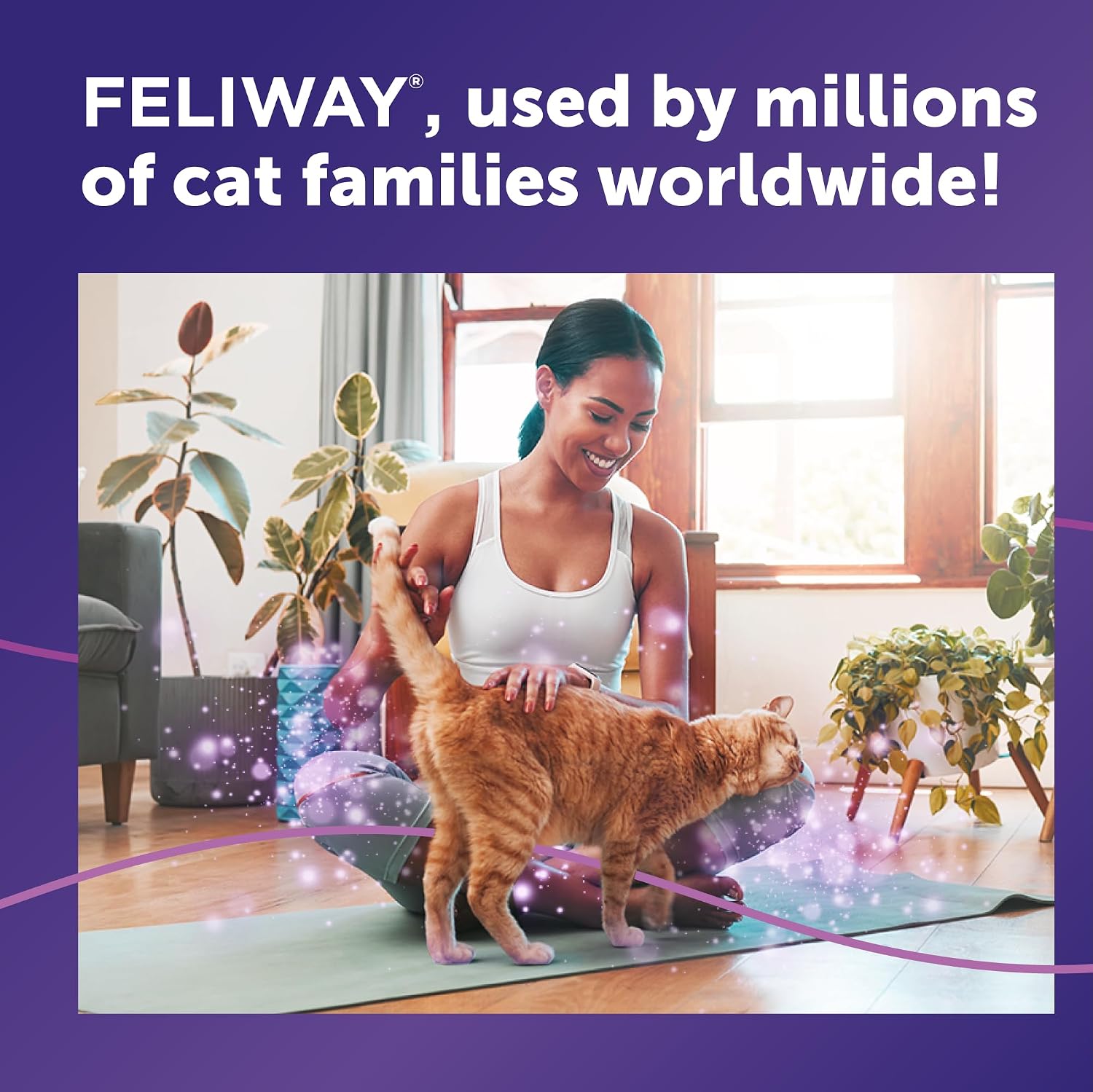 FELIWAY® Classic 30 Day Cat Calming Refills for Pheromone Diffuser,48ml Value Pack - Helps Reduce Common Signs of Stress in Cats & Kittens,Enhanced Calming,(Pack of 12)