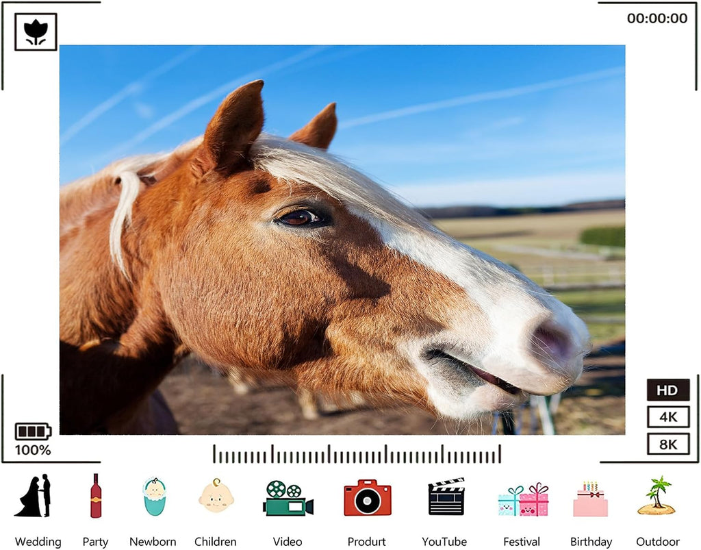 Trykid 20x10ft Chestnut Horse Portrait Backdrop Blaze Marking Clear Sky Rural Field Equestrian Photography Background Stable Tour Tapestry Party Decoration Photo Studio Prop Fabric