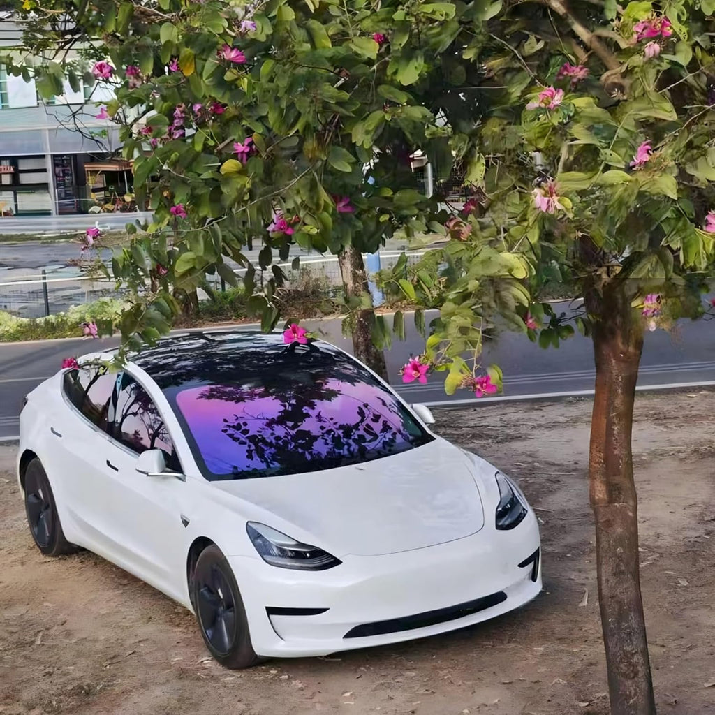 XhuangTech 65% Premium Window Tint Car, 65 Percent VLT Privacy Dreamy Purple Window Film Roll for Car or Home Blocks UV IR Rays, Heat & Glare - Scratch Resistance (60In X 98.4Ft)